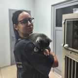 Митрофанова Екатерина Романовна