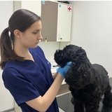 Соколец Оксана Евгеньевна