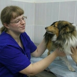 Бруй Анна Сергеевна