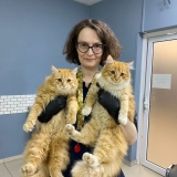 Калабанова Оксана Дмитриевна
