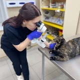 Кавкаева Алина Викторовна