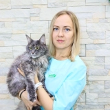 Спиридонова Екатерина Евгеньевна