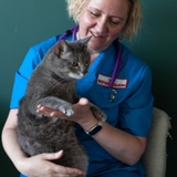 Городенко Надежда Фердинандовна