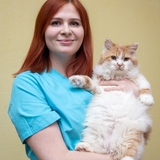 Балкаева Марина Сергеевна