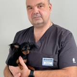 Головачев Дмитрий Богданович