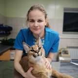 Нечесова Анастасия Павловна