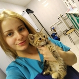 Новикова Светлана Александровна