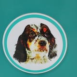 Ветеринарная клиника "Белый Бим"