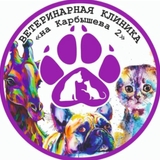 На Карбышева ветеринарная клиника