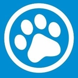 Белая лапа